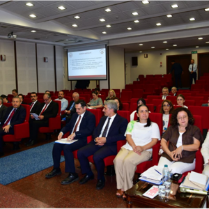 Kadının Güçlenmesi İl Koordinasyon Toplantısı Gerçekleştirildi - fotoğraf 3