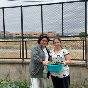 Engelsiz Yaşam Bakım Rehabilitasyon ve Aile Danışma Merkezi Müdürlüğümüzden hizmet alan özel gereksinimli bireylerimiz, kendi emekleriyle yetiştirdikleri ürünlerin hasadını gerçekleştirdi. - fotoğraf 2