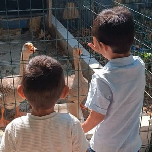 Minik Kalplerle Gelişim ve Eğlence  - fotoğraf 1