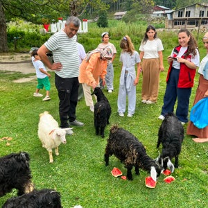Alaplı İlçemizin Gümeli Beldesinde etkinlik gerçekleştirilmiştir. - fotoğraf 9
