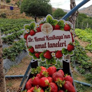🌿 Beykızı Kadın Kooperatifine Ziyaret - fotoğraf 3