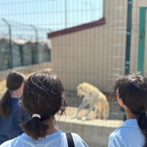 Çocuklarımızdan Hayvan Barınağına Ziyaret - fotoğraf 1