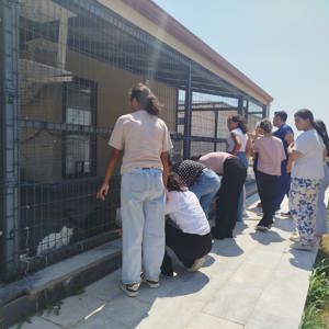 Çocuklarımızdan Hayvan Barınağına Ziyaret - fotoğraf 2