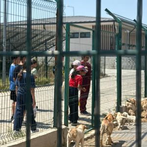 Çocuklarımızdan Hayvan Barınağına Ziyaret - fotoğraf 3