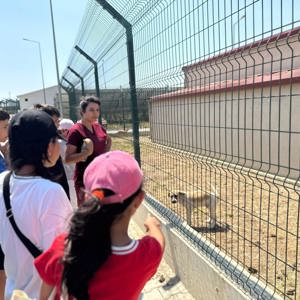 Çocuklarımızdan Hayvan Barınağına Ziyaret - fotoğraf 4