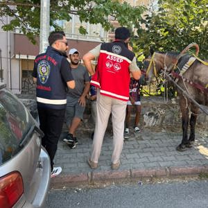 Süleymanpaşa’da Mobil Ekip Çalışması Gerçekleştirildi - fotoğraf 2