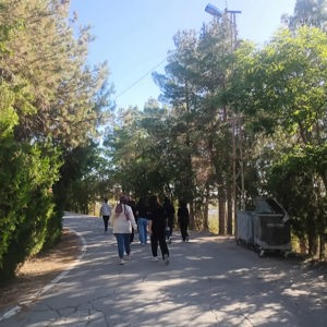 Doğayla İç İçe, Keyif Dolu Bir Gün - fotoğraf 1