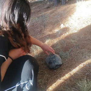 Doğayla İç İçe, Keyif Dolu Bir Gün - fotoğraf 3