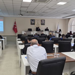 Kadının Güçlenmesi İl Koordinasyon Kurulu Toplantısı Gerçekleştirildi - fotoğraf 4
