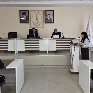 Kadının Güçlenmesi İl Koordinasyon Kurulu Toplantısı Gerçekleştirildi - fotoğraf 3