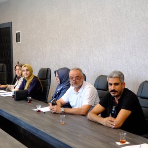 Engelliliğin Ana Akımlaştırılması ve İyi Uygulama Örnekleri İstişare Edildi - fotoğraf 2