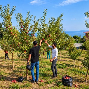 Engel tanımıyoruz, üretiyoruz! - fotoğraf 2
