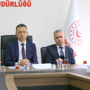 Ailenin Korunması ve Güçlendirilmesi İçin İl Koordinasyon Toplantısı Gerçekleştirildi - fotoğraf 7
