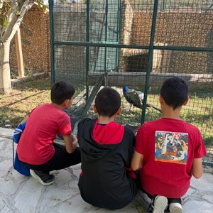 İl Müdürümüz Selim KÖSE ve kıymetli eşi Gülten KÖSE Hanımefendi, Şehit Enes Özgül Çocuk Evleri Koordinasyon Merkezimize bağlı çocuk evlerinde hizmet alan çocuklarımızın katılımıyla, Çocuk Evleri Koordinasyon Merkezimiz ve KİMO Tekstil Fabrikası iş birliğinde gerçekleştirilen “Yaza Veda, Okula Merhaba” etkinliğine katıldı. - fotoğraf 16