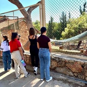  İl Müdürlüğümüze bağlı İhtisaslaşmış Çocuk Evleri Sitesi Müdürlüğümüzde hizmet alan  çocuklarımızla Antalya Doğal Yaşam Parkı gezisi düzenlendi. - fotoğraf 3