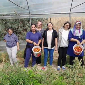Hobi Bahçemizde Hasat Zamanı - fotoğraf 1
