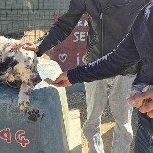 Yozgat Çocuk Evleri Sitemizdeki Çocuklarımızla "Renkli Patiler" Etkinliği  - fotoğraf 1