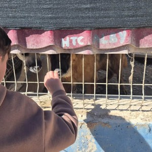 Yozgat Çocuk Evleri Sitemizdeki Çocuklarımızla "Renkli Patiler" Etkinliği  - fotoğraf 2