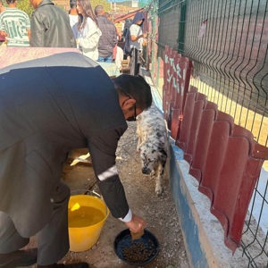  Merhametle Dokun, Sevgiyle Yaşat!  - fotoğraf 6