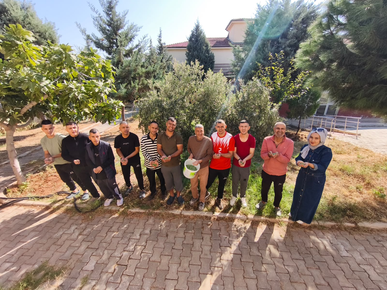 Engelsiz Yaşam Merkezimizde Zeytin Fidanlarının Hasadı Gerçekleştirildi
