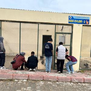 Hayvan Sevgisi Ve Koruma Bilinci - fotoğraf 1