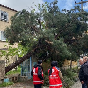 Aile ve Sosyal Hizmetler Bakanlığı, 9 ayda 26 binden fazla kişiye psikososyal destek sağladı - fotoğraf 3