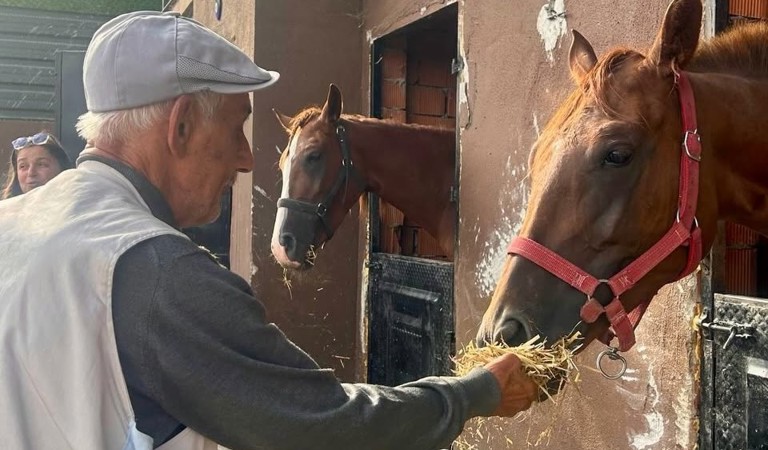 🐎 Kıymetli Büyüklerimizden At Çiftliğine Keyifli Ziyaret