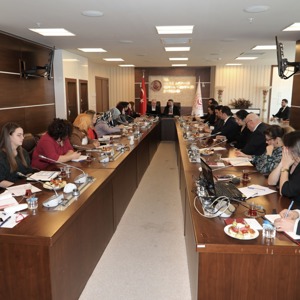 Yaşlanma Vizyon Çalışmaları Son Aşamaya Geldi - fotoğraf 2