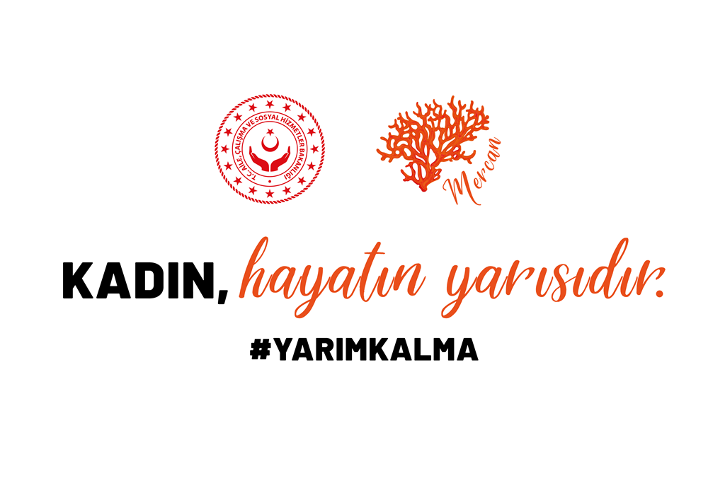 Kadına Yönelik Şiddetle Mücadele Koordinasyon Planı Teknik Kurulu Video Konferans Aracılığıyla Toplandı