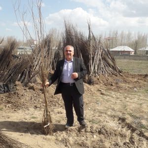 Baharın gelişi ile kurum ve kuruluşlarımızda ağaçlandırma çalışmaları başladı  - fotoğraf 5