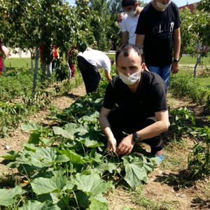 Kırklareli Bakım Rehabilitasyon ve Aile Danışma Merkezi Müdürlüğünün örnek projelerinden biri olan Engelsiz Hobi Bahçesi’nde yaz sezonu hasadı başladı.  - fotoğraf 5