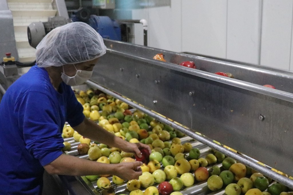 Haziran Ayına İlişkin Nakdi Ücret Desteği Ödemeleri 8 Temmuz’da Ödenmeye Başlıyor