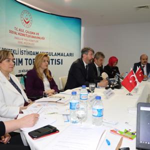 Türkiye Destekli İstihdam Uygulamaları Paylaşım Toplantısı Düzenlendi - fotoğraf 1