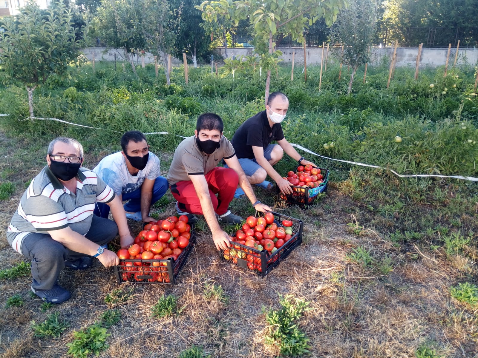 Kendi elleriyle diktikleri domates fidelerine gözleri gibi bakan engellilerimiz, hasadını gerçekleştirdikleri domateslerden salça yapmanın mutluluğunu yaşadılar.