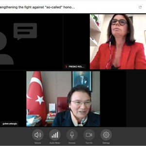 Avrupa Konseyi Parlamenterler Meclisi Eşitlik Komisyonu Rapörtörü Sayın BEATRİCE FRESKO-ROLFO ile Video Konferans Aracılığıyla Görüşme Gerçekleştirildi. - fotoğraf 1