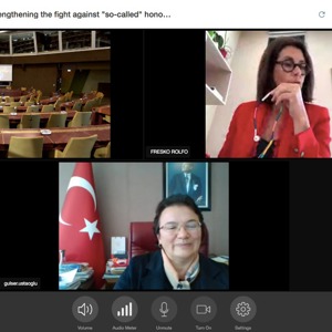 Avrupa Konseyi Parlamenterler Meclisi Eşitlik Komisyonu Rapörtörü Sayın BEATRİCE FRESKO-ROLFO ile Video Konferans Aracılığıyla Görüşme Gerçekleştirildi. - fotoğraf 2