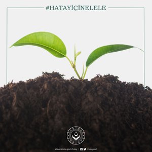 HATAY İÇİN ELELE! - fotoğraf 1
