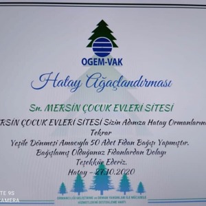Hatay' da Meydana Gelen Yangında Zarar Gören Ormanlarımızı Yeniden Yeşertiyoruz - fotoğraf 3