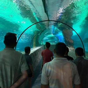  20 Temmuz Uluslararası Satranç Günü kapsamında Ankara’da anlamlı ve öğretici bir gezi gerçekleştirildi.  - fotoğraf 5