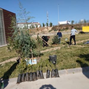 "Geleceğe Nefes" Kampanyası Kapsamında İl Müdürlüğümüz Bahçesi Ağaçlandırıldı. - fotoğraf 7