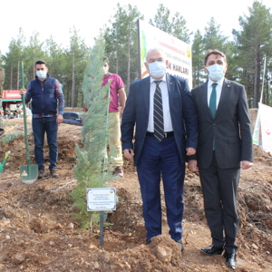Kahramanmaraş’ta Çocuk Hakları Hatıra Ormanı Oluşturuldu - fotoğraf 5
