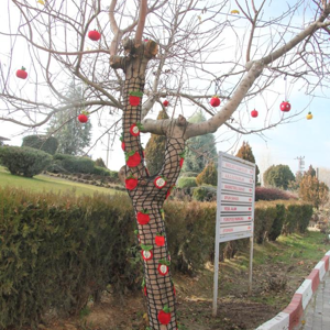 Engellilerimiz Marifetli Elleriyle Ağaçlara Giysi Ördüler - fotoğraf 3