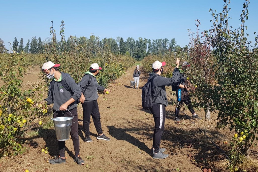 Every Child Possesses a Tree with Children's Gardens Campaign