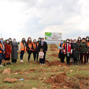 Kadınlar Günü Hatıra Ormanına Fidan Diktik - fotoğraf 1