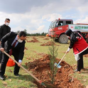 Kadınlar Günü Hatıra Ormanına Fidan Diktik - fotoğraf 2