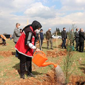 Kadınlar Günü Hatıra Ormanına Fidan Diktik - fotoğraf 5