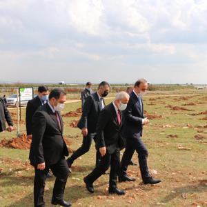 Kadınlar Günü Hatıra Ormanına Fidan Diktik - fotoğraf 6