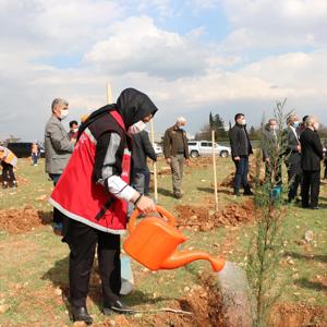 Kadınlar Günü Hatıra Ormanına Fidan Diktik - fotoğraf 10