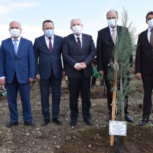 Mercan Ormanları Kahramanmaraş’la birlikte Tüm Türkiye’de - fotoğraf 5