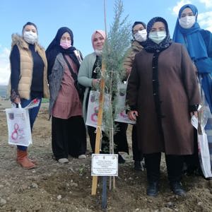 Mercan Ormanları Kahramanmaraş’la birlikte Tüm Türkiye’de - fotoğraf 10